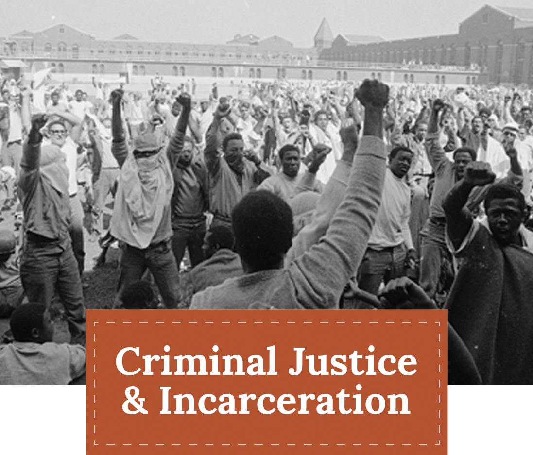 ZEP Theme Icon - Criminal Justice