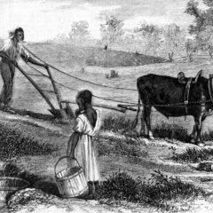 Plowing in South Carolina